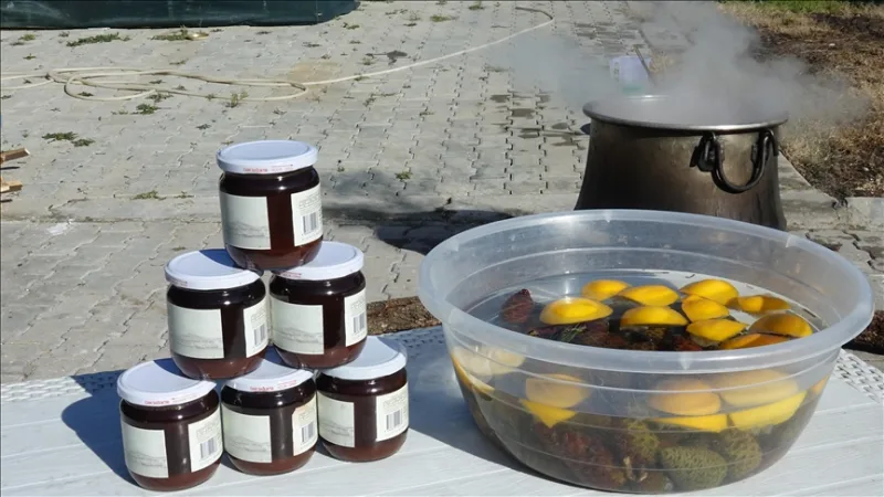 В Айвалък борови шишарки, варени 8 часа на дърва с труда на жените, се превръщат в сироп