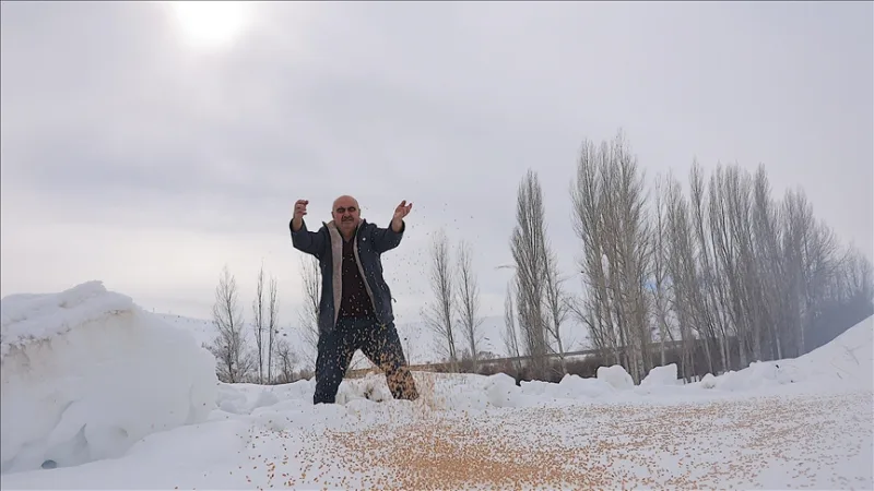 Той оставя 10 тона зърно на природата през зимата, за да 