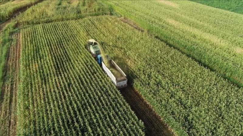 Les principes relatifs à la protection et à l'utilisation des terres agricoles ont été réglementés